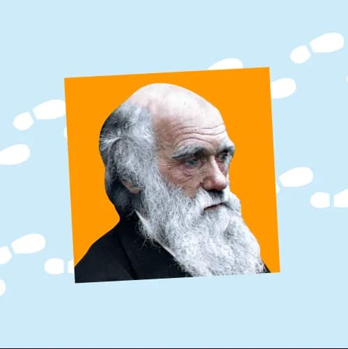 Биология. Полугодовой курс ОГЭ-2026. Биология с Лерой Луканцевой